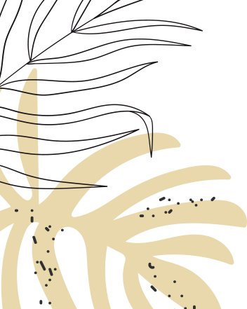 Safeway Wellness Spa and Salon