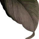 Safeway Wellness Spa and Salon